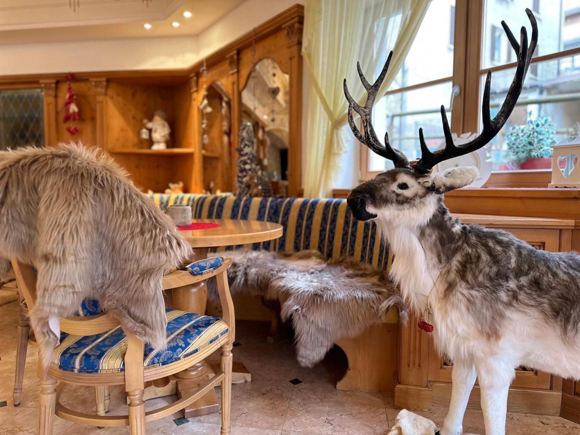 Hotel Europa Molveno Eksteriør billede